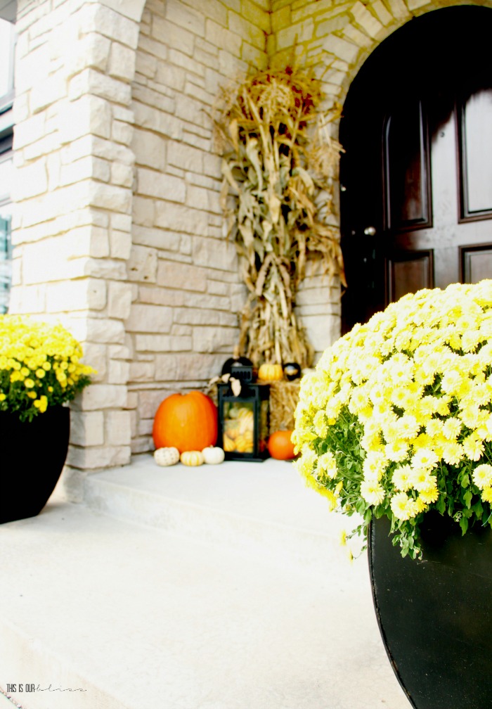 Fall Front porch with yellow mums - Fall front porch decorating ideas - big brick entryway front door - This is our Bliss