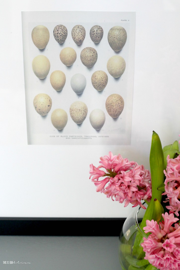 Adorable Speckled Egg free printable for Spring - Easter Egg art for Spring decorating - This is our Bliss