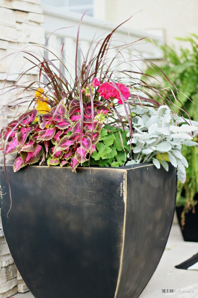 Front porch planters - pre-potted planters transported to metal planters - how to decorate a small front porch - This is our Bliss
