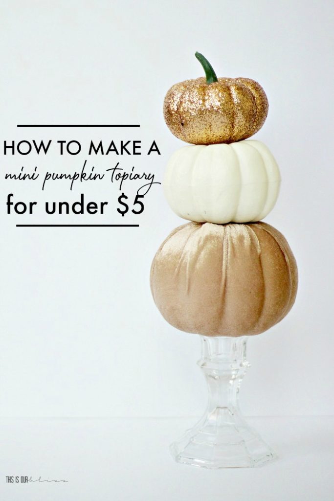 How to make a DIY Mini Pumpkin topiary - This is our Bliss