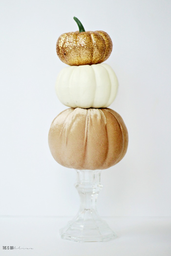 Mini Pumpkin Topiary for under $5 - This is our Bliss