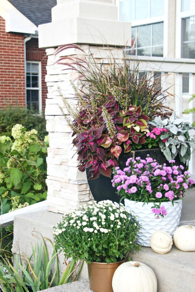 Easy ways to decorate a Fall front porch - This is our Bliss