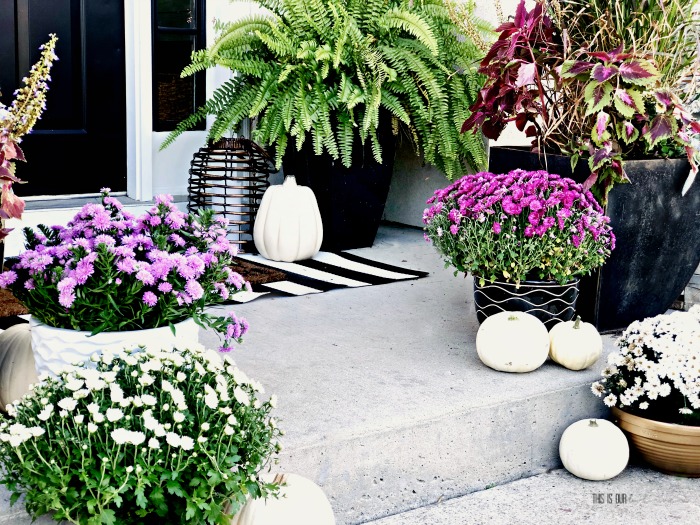 Easy Ways to Update your Porch Decor for Fall - This is our Bliss
