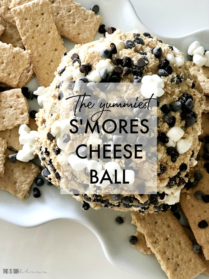 The Yummiest Smores Cheese Ball Recipe your guests will devour - This is our Bliss