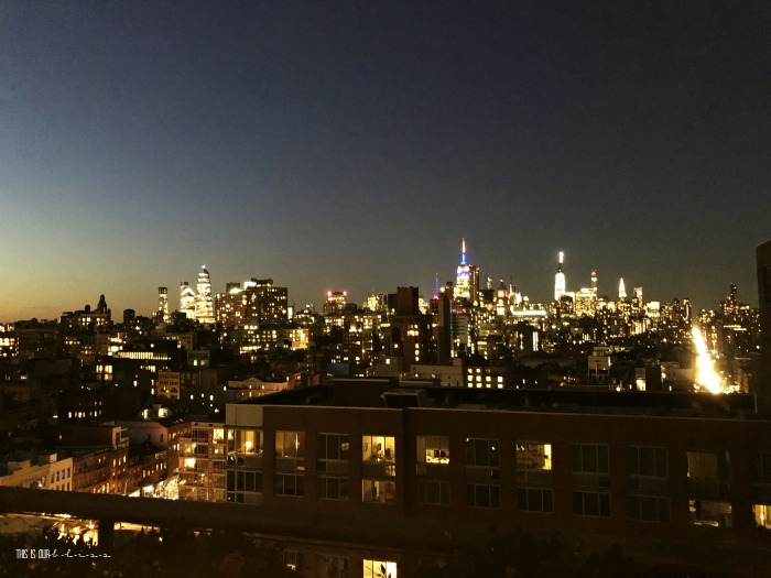 NYC skyline at Night - This is our Bliss