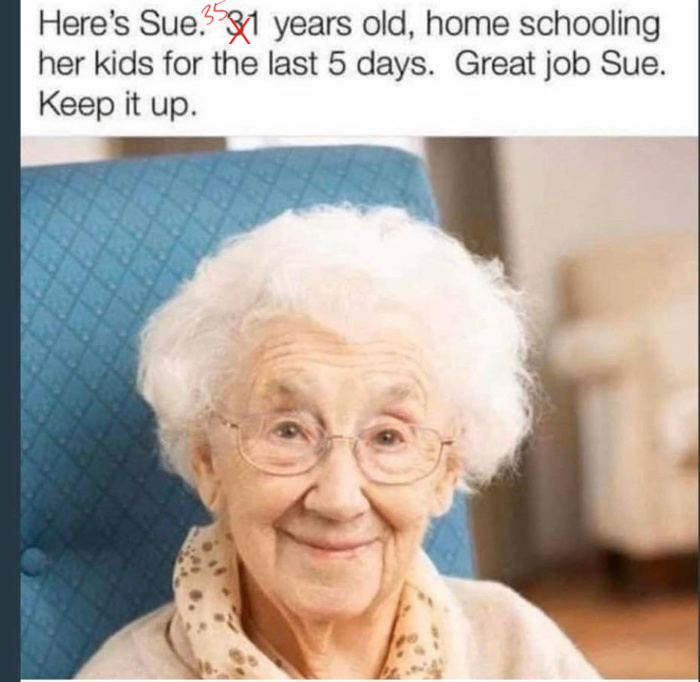 Sue homeschool meme - This is our Bliss