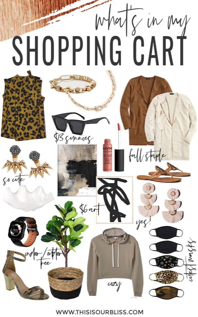 What's in my shopping cart - come and shop with me! Summer style and fall fashion staples
