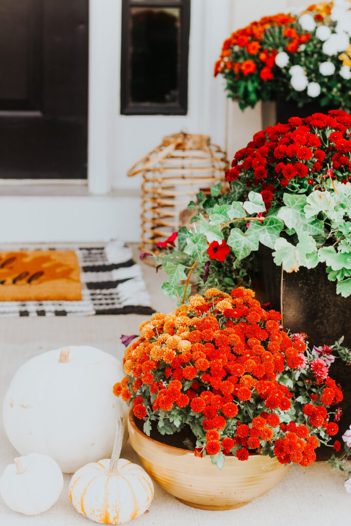 colorful mums on the Front Porch for Fall - Small front porch fall decorating ideas - This is our Bliss