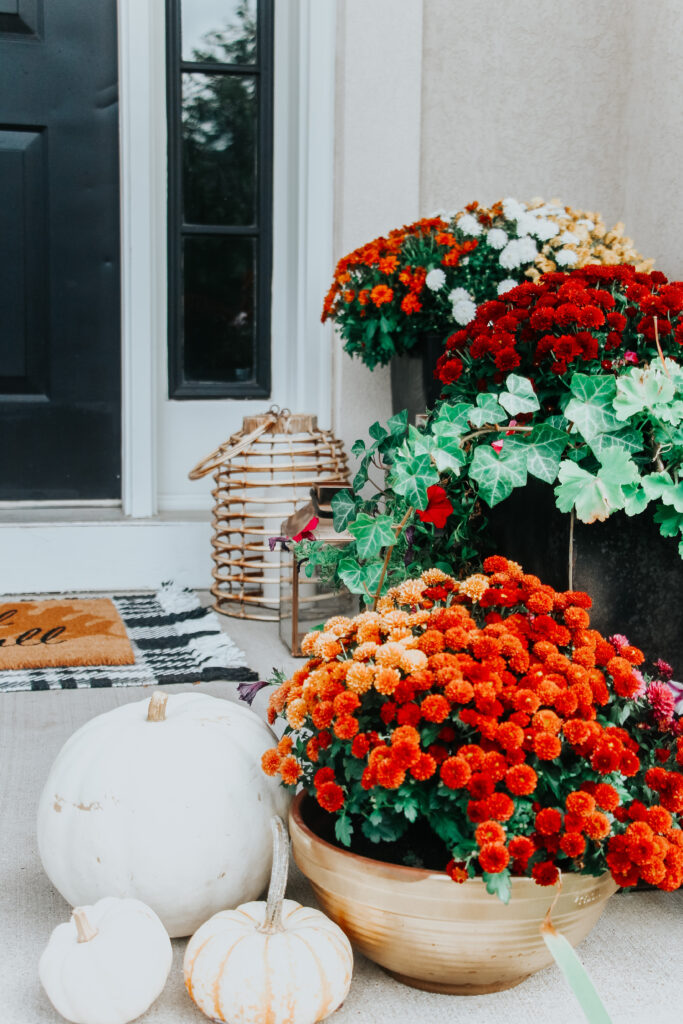 white pumpkins and bright colored mums for Fall on the porch - colorful fall front porch decorating ideas