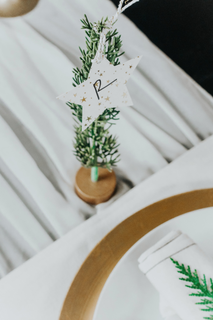 Simple Christmas placecards - place setting ideas for Christmas