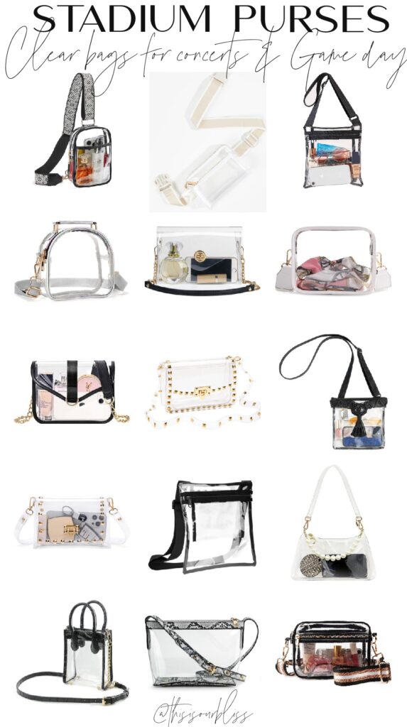 clear purse ideas for concerts and sporting events! - This is our Bliss