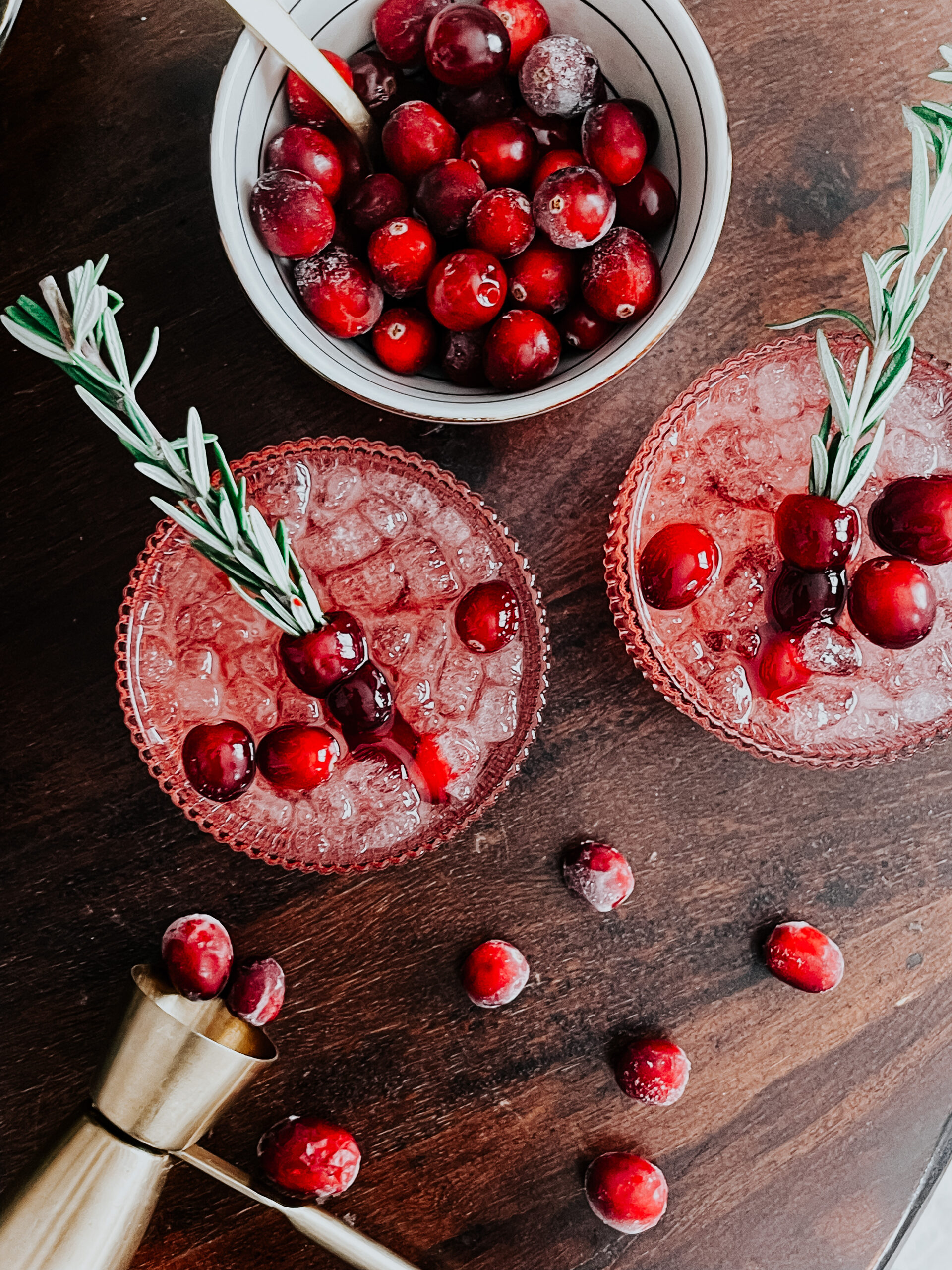 cranberry cocktail with rosemary & cranberry skewer garnish hack - This is our Bliss